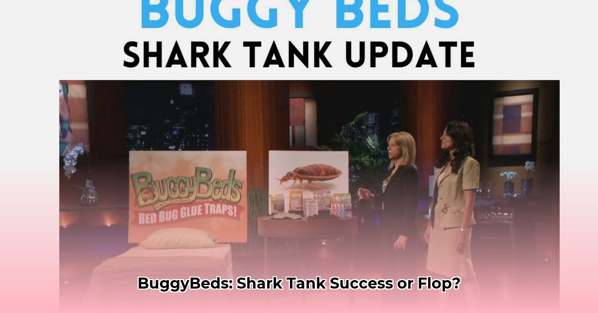 buggy-beds-net-worth